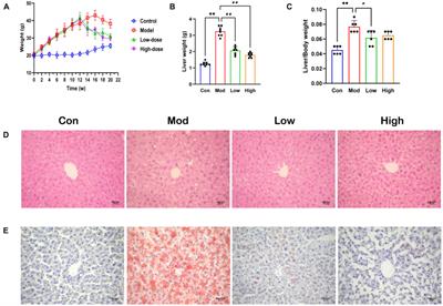 Gentiopicroside improves high-fat diet-induced NAFLD in association with modulation of host serum metabolome and gut microbiome in mice